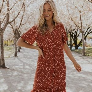 NWT Roolee Lettie Dot Dress